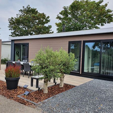 Beachhouse Renesse 2645 Ngoại thất bức ảnh