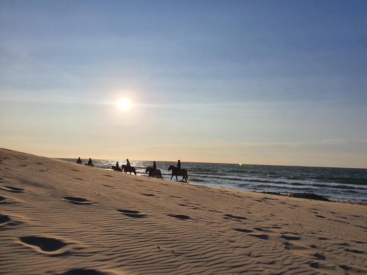 Beachhouse Renesse 2645 Ngoại thất bức ảnh